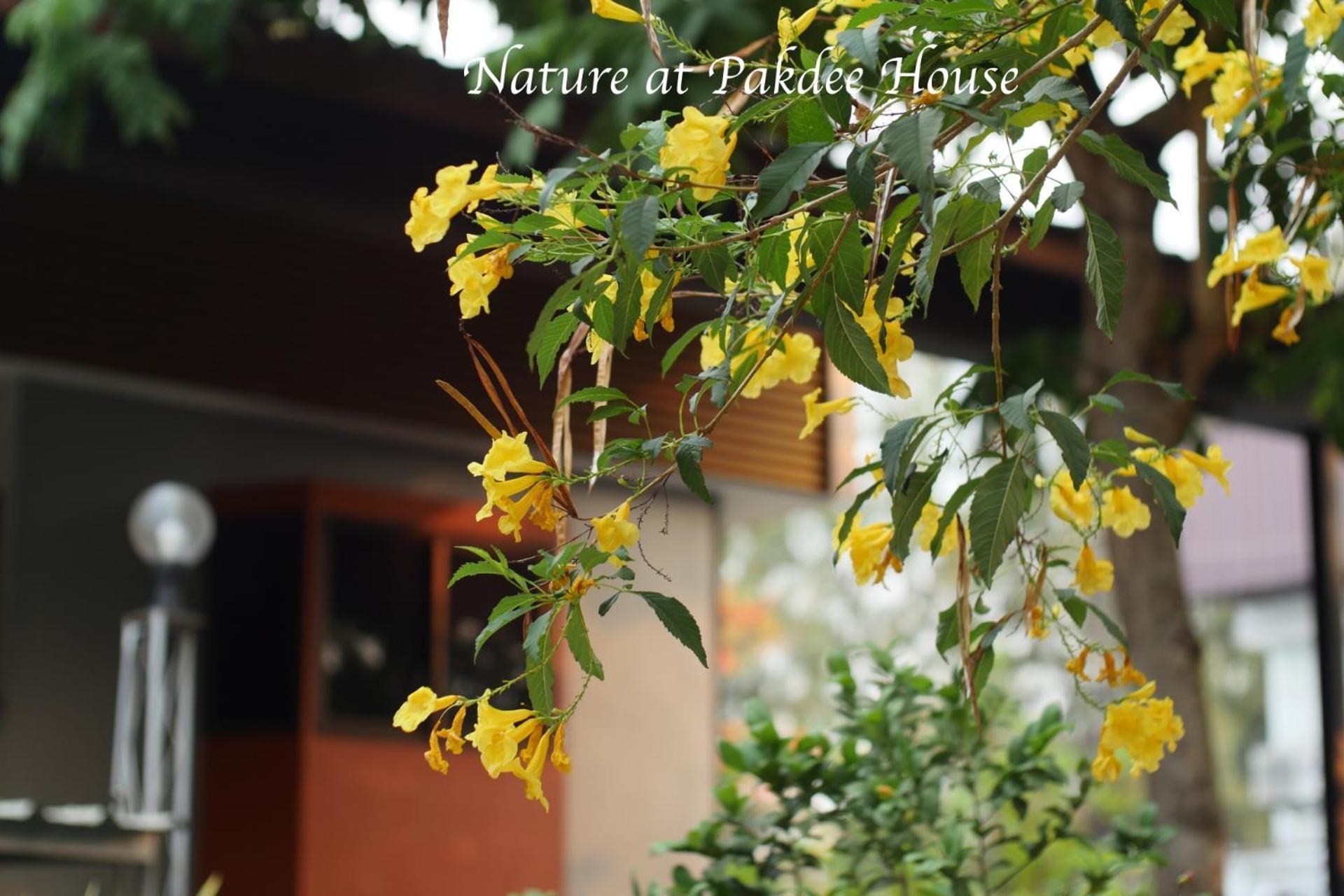 Pakdee House Ξενοδοχείο Ούντον Τάνι Εξωτερικό φωτογραφία